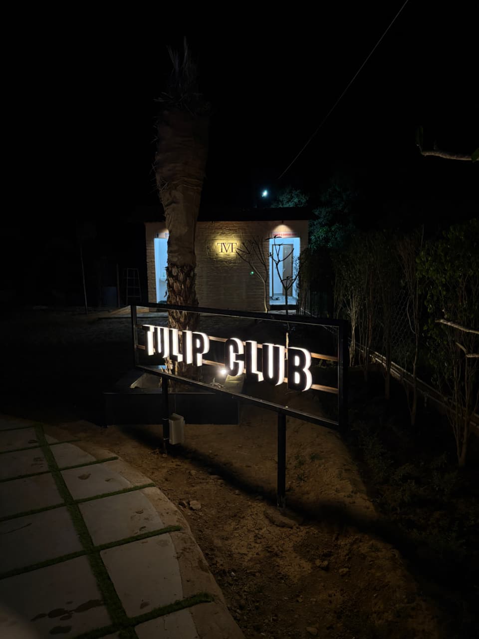 Tulip Club pool aerial night