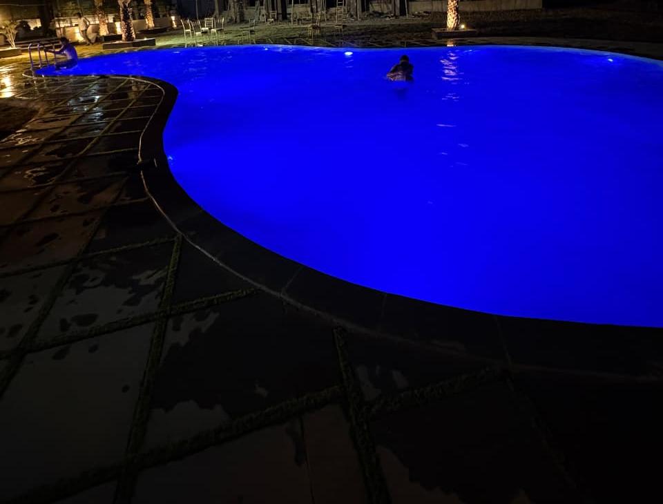 Tulip Club sign entrance