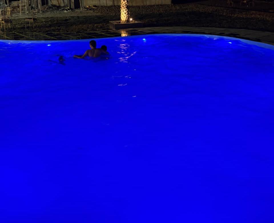 Tulip Club pool and garden